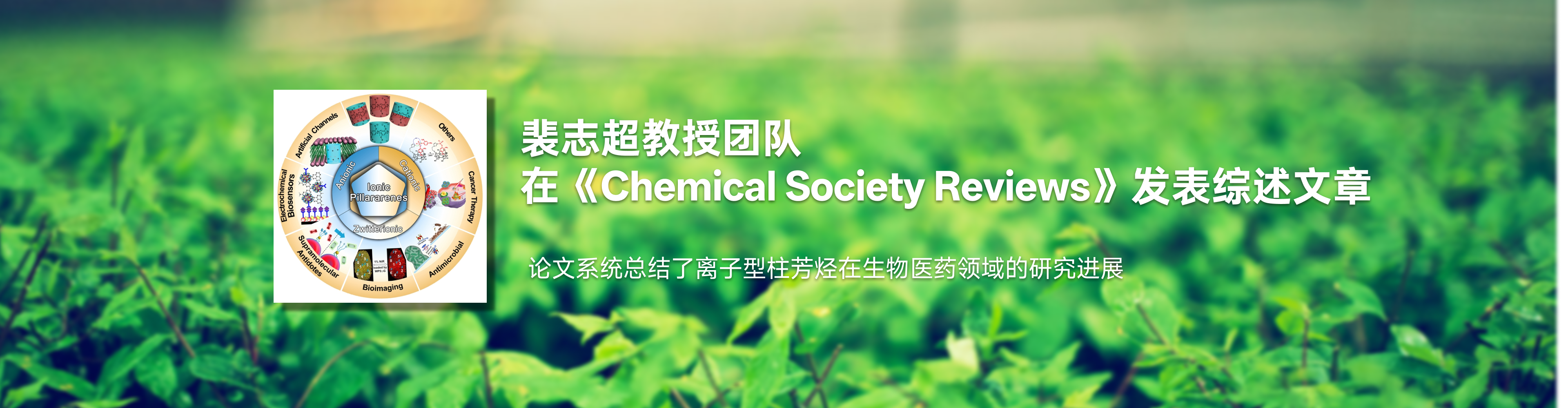 化药age动漫
裴志超教授团队在《Chemical Society Reviews》发表综述文章