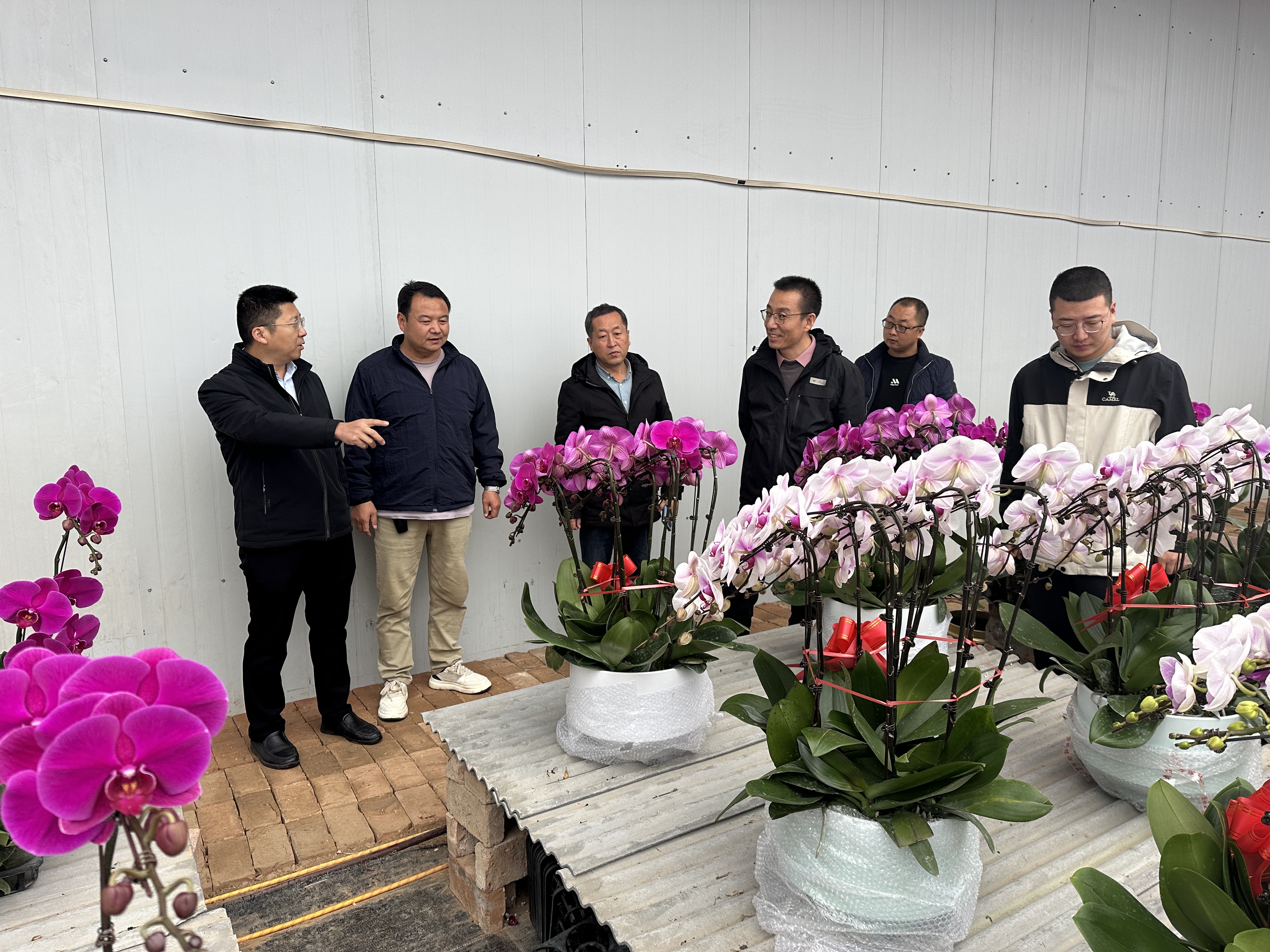 院村携手育“兰”图，科教赋能“绘”新篇