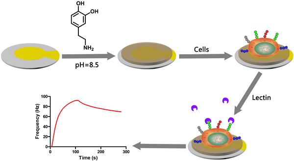 c3997bd56ca5453786a10be8eff8e6d3.jpg Scheme 1.jpg