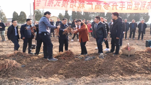 a8abb757eae44780b8a5bb859f2871f7.png image.png