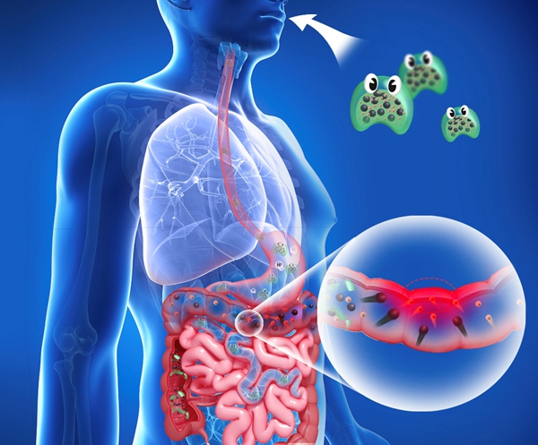 c25f5d2ef31246b295c3aa83b4f2cb05.jpg 11.jpg